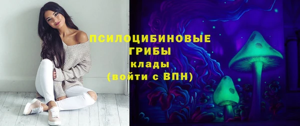 Альфа ПВП Арсеньев