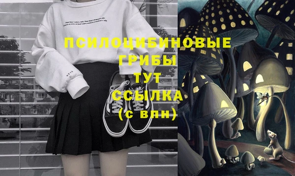 Альфа ПВП Арсеньев