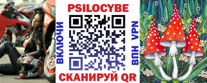 Псилоцибиновые грибы Psilocybe цена наркотик OMG зеркало Красноярск